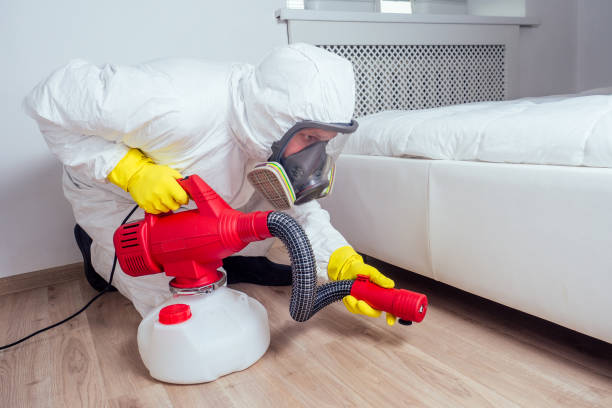 Professional Pest control in Fort Loramie, OH